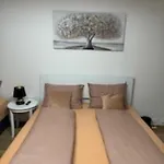 Charming Apart Near Center